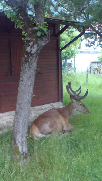 Appartamenti De Sanctis Villetta Barrea Eksteriør bilde