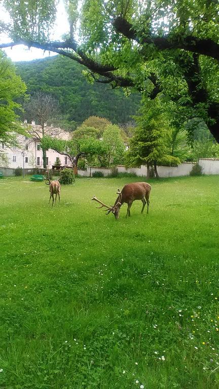 Appartamenti De Sanctis Villetta Barrea Eksteriør bilde